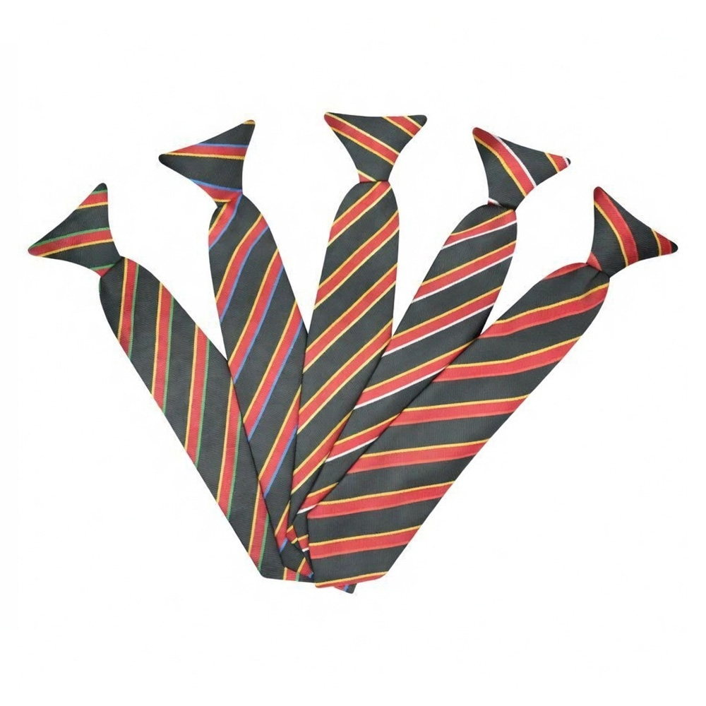 Prendergast Ladywell Secondary School Tie