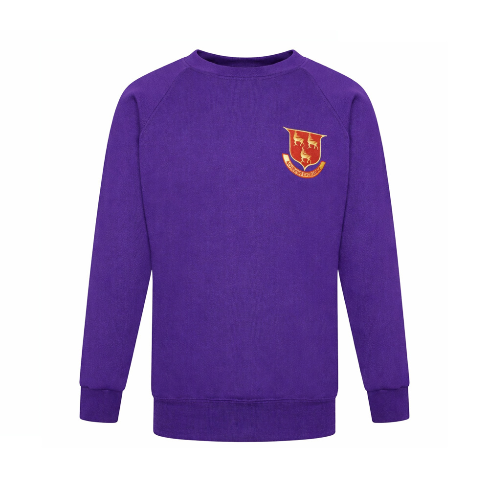 Prendergast Ladywell Secondary School  PE Sweatshirt With Logo