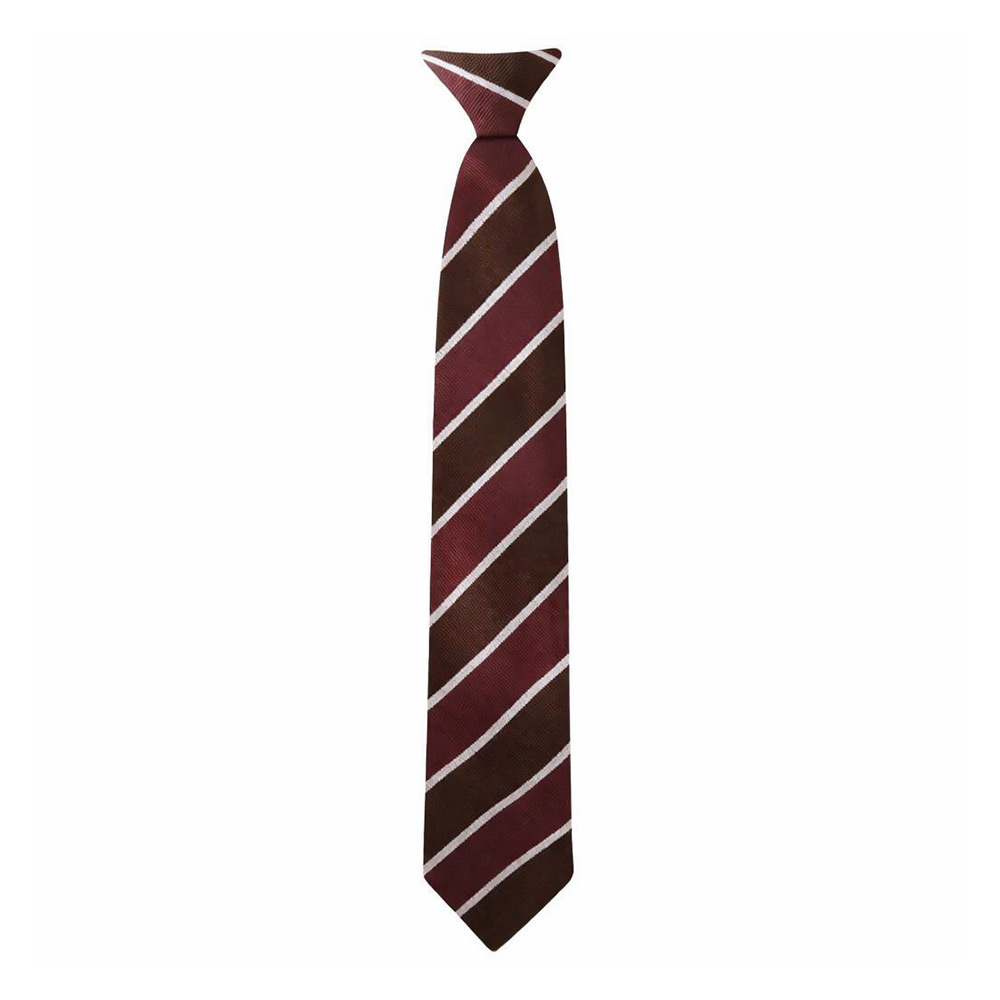 Official  Addey and Stanhope School Tie